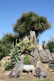 Jardin Mexicain - parc botanique Bretagne
