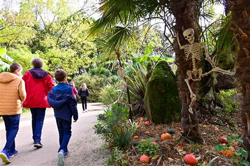 Halloween à tropical parc en bretagne