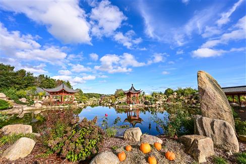 Parc à thème tropical en Bretagne avec citrouilles