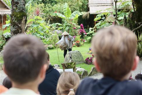 spectacle oiseaux bretagne tropical parc