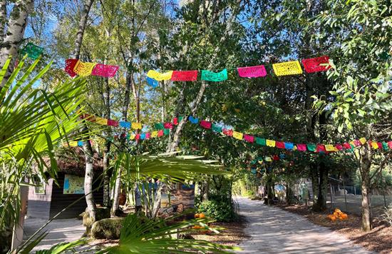 Tropical Parc dans le Morbihan